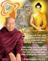 196387441_120705553523650_7208893450922676355_n_original