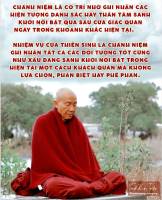 469100956_896969602563904_577510072439026227_n_original