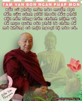 469247072_896958492565015_4731183361833735212_n_original